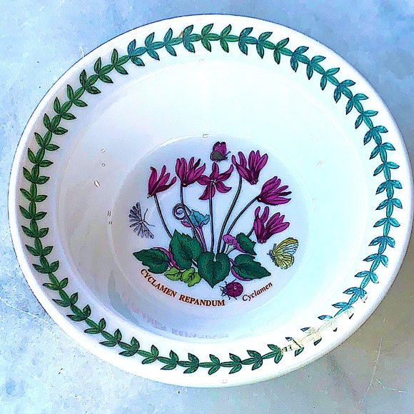 BOTANIC GARDEN BY PORTMEIRION CYCLAMEN REPANDUM CEREAL OATMEAL BOWL NEW - Picture 4 of 7